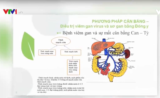 Phương pháp cân bằng trong điều trị bệnh gan