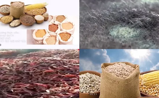 Đây là chất độc gây ung thư có trong ớt bột, thực phẩm nấm mốc
