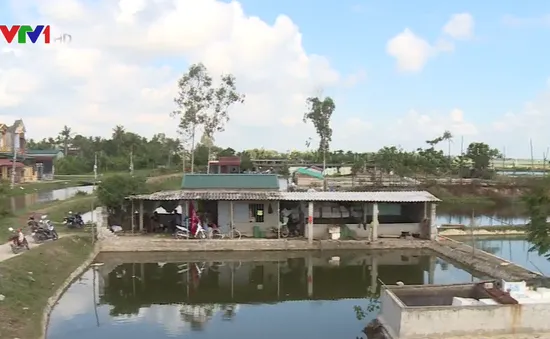 Nghi ngờ thiếu minh bạch trong chi tiền hỗ trợ thiệt hại do thiên tai ở Thanh Hóa