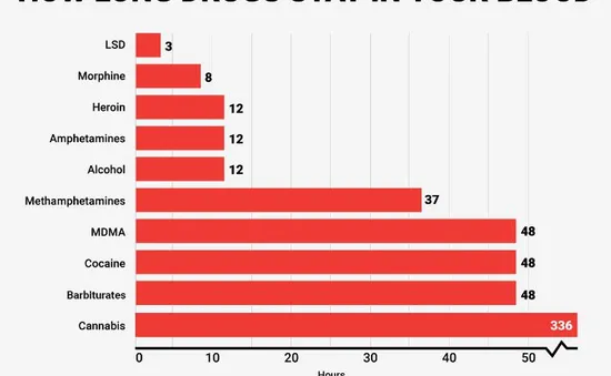 Bạn có biết: Các chất gây nghiện sẽ ở lại trong cơ thể bao lâu?