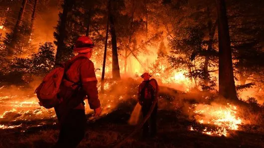 Điều tra về cháy rừng ở California, Mỹ