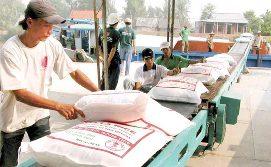 Bộ Công Thương hướng dẫn thực thi quy định "cởi trói" cho xuất khẩu lúa gạo