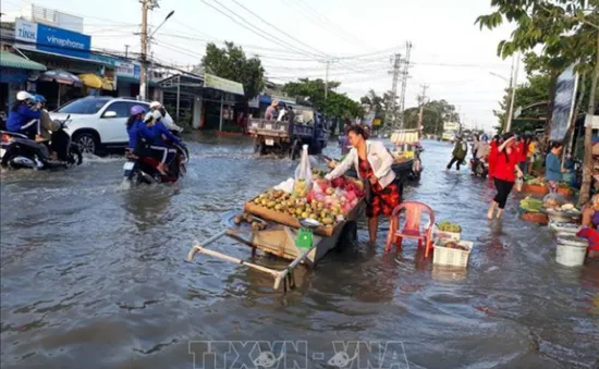 Bạc Liêu chủ động xây tường kè ngăn triều cường