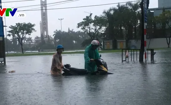 Nhiều diện tích trồng rau tại Đà Nẵng bị ngập sâu do mưa lớn