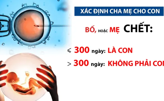 Gian nan hành trình xin có con cho người chết (Chuyển động 24h, 11h30, 18/12, VTV1)