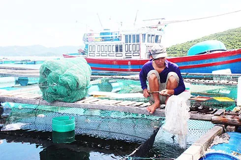 Khó tuân thủ quy hoạch: Nghịch lý ở vùng nuôi thủy sản