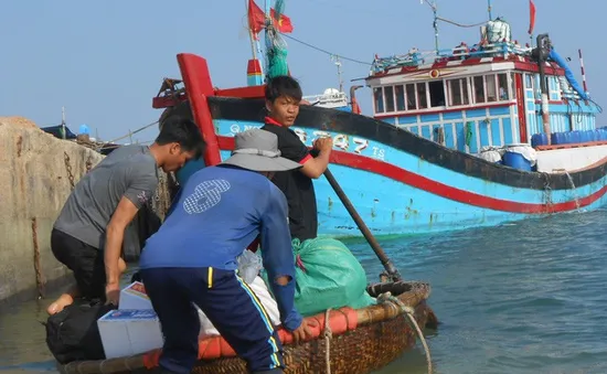 Chấp nhận bị lừa tiền: Nghịch lý ở vùng biển