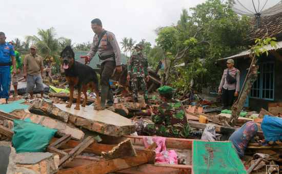 Indonesia sơ tán hàng chục nghìn dân do nguy cơ tiếp tục xảy ra sóng thần