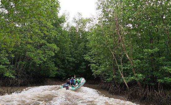 Ngày Đất ngập nước thế giới (2/2): Việt Nam có 9 khu đất ngập nước được thế giới công nhận