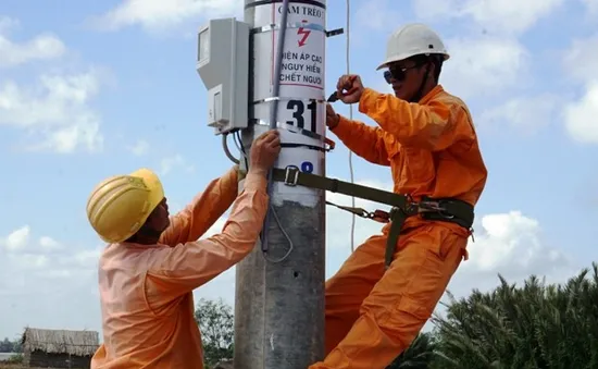 Trà Vinh: Hàng trăm hộ dân ở Cồn Phụng có điện lưới quốc gia