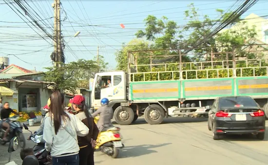 Lộn xộn giao thông ở vùng trồng hoa Phú Yên