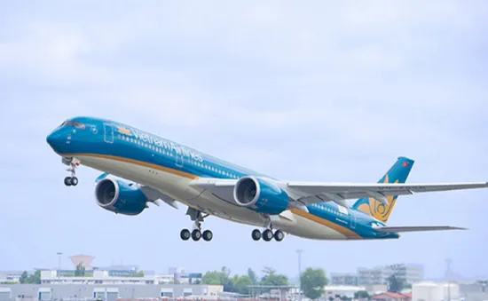 Vietnam Airlines nhận vận chuyển cành đào, cành mai dịp Tết Mậu Tuất