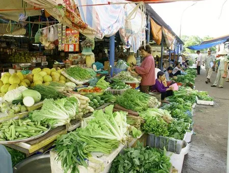 Phòng bệnh truyền qua thực phẩm do ký sinh trùng trong mùa hè