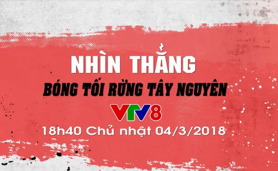 Nhìn thẳng: "Bóng tối rừng Tây Nguyên" (18h40 Chủ Nhật, 04/3 trên VTV8)