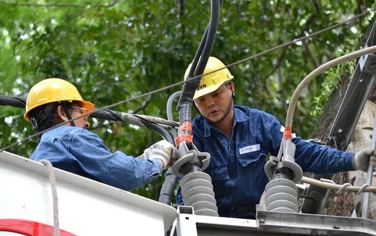 Chỉ đạo quản lý và sử dụng điện an toàn tại Cà Mau