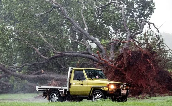 Bão Marcus gây mất điện diện rộng ở Australia