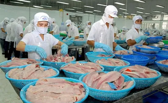 Xuất khẩu thủy sản tăng mạnh từ đầu năm