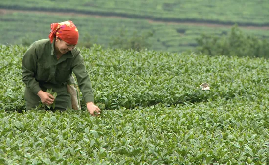 Thông điệp xanh: Sản phẩm sạch, công nghệ xanh