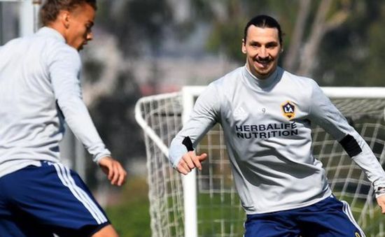 Ibrahimovic tươi như hoa ở buổi tập đầu tiên tại LA Galaxy