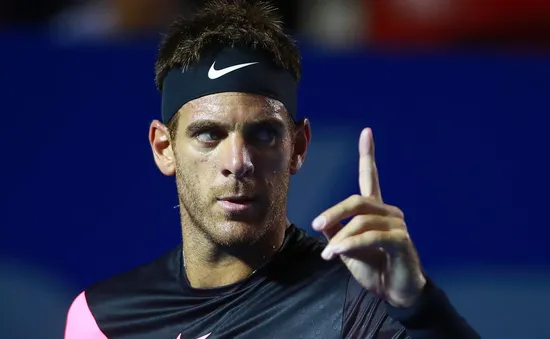 Thắng thuyết phục Kevin Anderson, Del Potro vô địch Acapulco mở rộng 2018