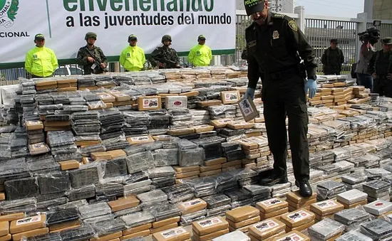 Colombia bắt giữ hơn 5 tấn cocaine giấu trong lô chuối