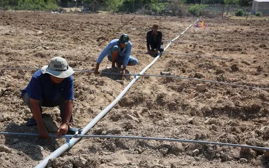 Hàng trăm hộ dân khốn khổ giữa vùng tâm hạn Ninh Thuận