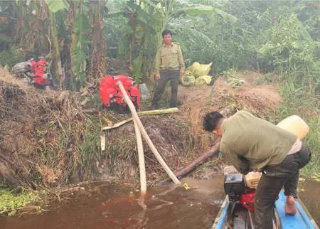 Tiềm ẩn nguy cơ cháy cao tại rừng U Minh Hạ, Cà Mau