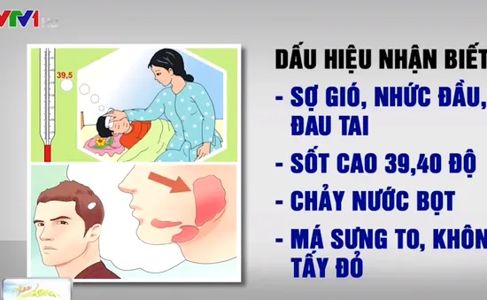 Dấu hiệu nhận biết và phòng bệnh quai bị