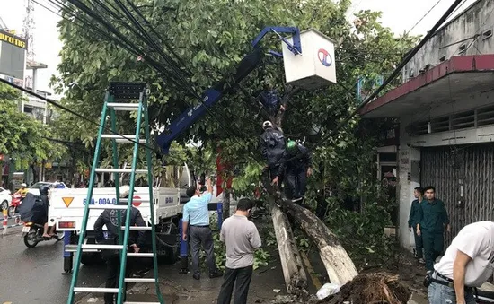 Gió giật mạnh, hàng loạt cây xanh ngã đổ tại Biên Hòa, Đồng Nai