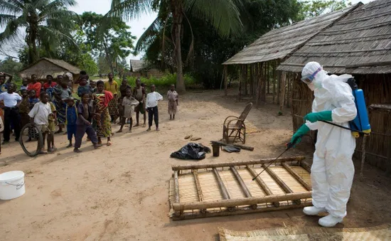 WHO: Ebola có khả năng gây ra đại dịch toàn cầu