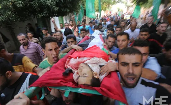 50 thành viên Hamas thiệt mạng trong các vụ đụng độ ở dải Gaza