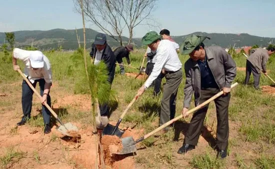 Lâm Đồng: Xây dựng Đà Lạt xứng đáng là thành phố bền vững về môi trường ASEAN