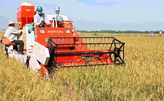 Nâng cao vị thế làm chủ của nông dân Việt Nam