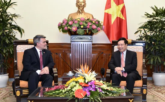 Phó Thủ tướng Phạm Bình Minh tiếp Thượng nghị sỹ Hoa Kỳ Cory Gardner