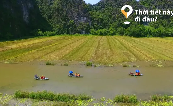 "Thời tiết này đi đâu?": Ngắm "mùa vàng" trên dòng sông Ngô Đồng