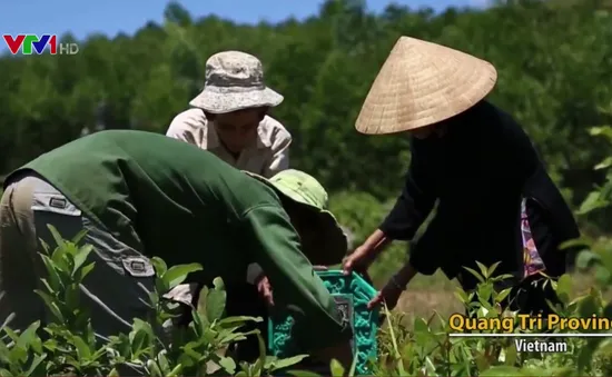 Công chiếu bộ phim “Hành trình bất tận” tại Mỹ