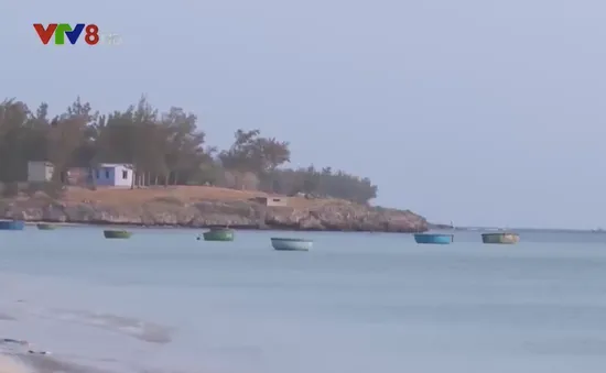 Bị tàn phá, rạn san hô Hòn Đỏ "kêu cứu"