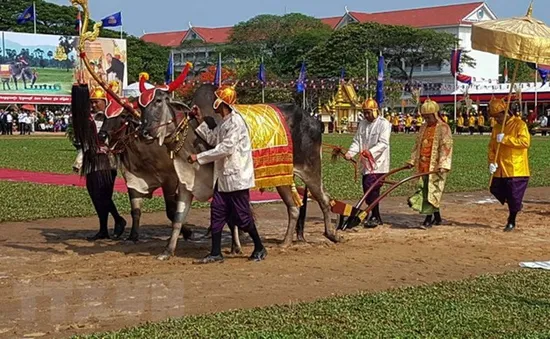 Lễ Hạ điền trước mùa vụ sản xuất tại Campuchia