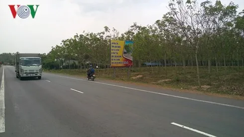 Người dân mong chờ phương án đền bù dự án sân bay Long Thành