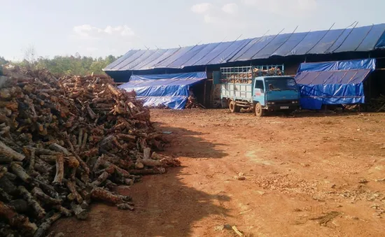 Đắk Nông: Kiểm tra, xử lý các lò than tự phát hoạt động trong khu dân cư