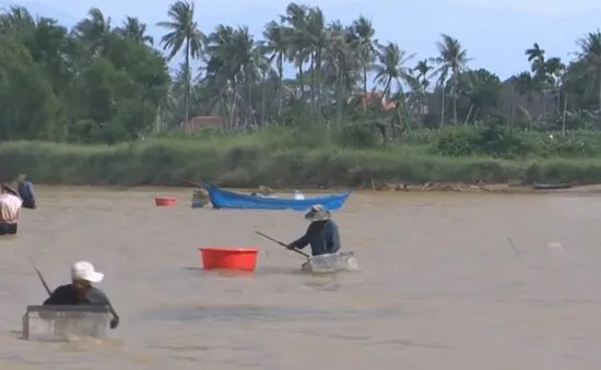 Phú Yên: Yên ả sông quê mùa "cào dắt"