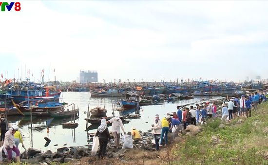 Đà Nẵng hưởng ứng Ngày Đại dương, Tuần lễ Biển và Hải đảo Việt Nam