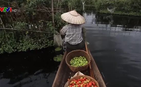 Khám phá vườn nổi Inle ở Myanmar