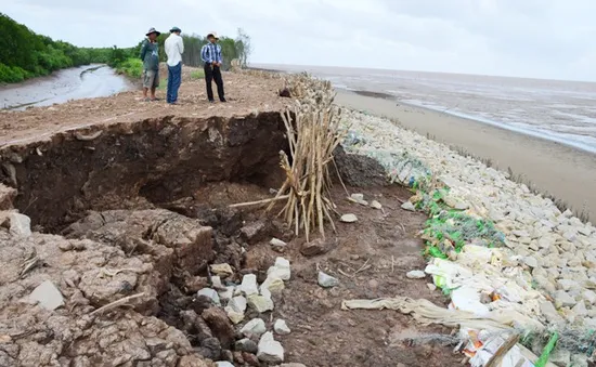 Cà Mau thuê trực thăng khảo sát sạt lở bờ biển