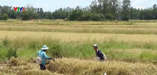 Liên tiếp xảy ra các trường hợp tử vong do dùng điện đánh cá