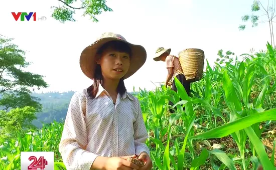 Cặp lá yêu thương: Xót xa hoàn cảnh bé gái có cha bị mù