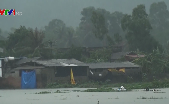 Ảnh hưởng bão số 3, mưa lớn gây thiệt hại cho sản xuất nông nghiệp nhiều địa phương