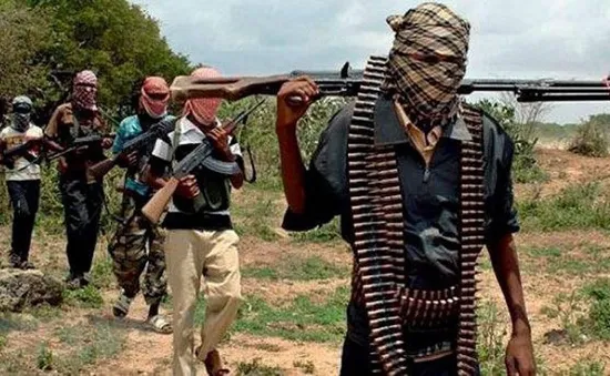 Nigeria bắt giữ 22 chiến binh Boko Haram