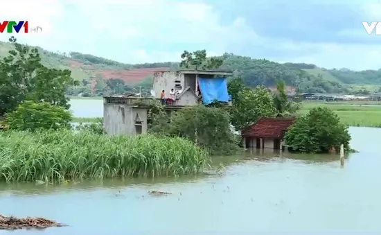 Ngập nặng tại huyện Thạch Thành, tỉnh Thanh Hóa