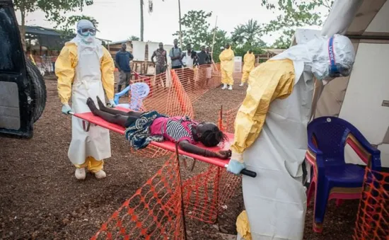 CHDC Congo tuyên bố hết dịch Ebola